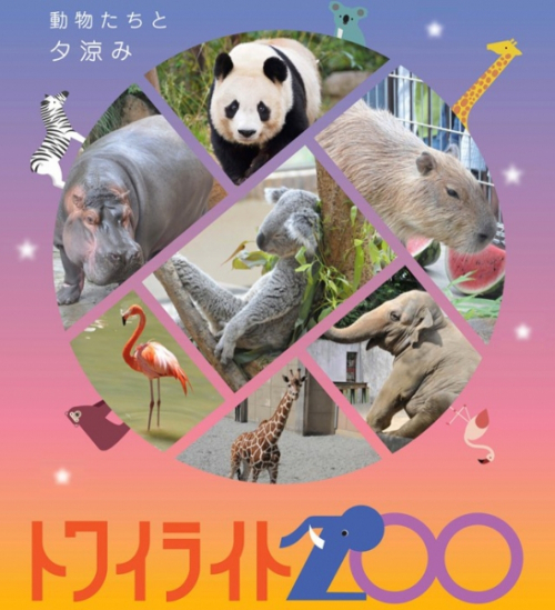 神戸市立王子動物園『神戸トワイライトZOO』　神戸市灘区