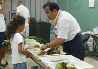 みらいかんエコ教室『第9回 ビオトープの生きものたち 植物編ー』　神戸市西区 [画像]