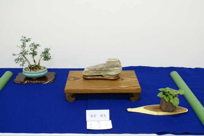 緑の相談所『水石と盆栽展』　姫路市 [画像]