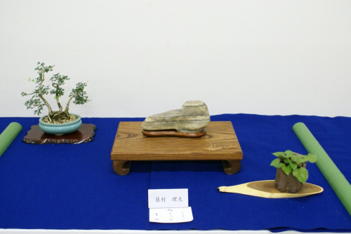 緑の相談所『水石と盆栽展』　姫路市