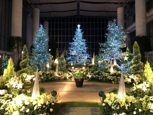 奇跡の星の植物館『クリスマスフラワーショー2019』淡路市