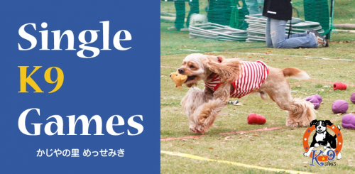 愛犬と楽しむドッグトレーニングイベント『シングルK9ゲームinかじやの里メッセみき』　三木市