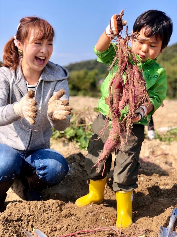 小束野農園 『サツマイモ掘り』神戸市西区 [画像]