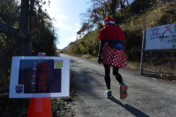 神戸ワイナリーで『広大！壮大！極限ＲＵＮ！神戸農業公園走り納め！！』神戸市西区 [画像]