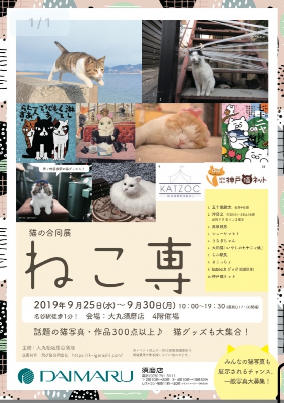 大丸須磨店　猫をモチーフにした猫の合同展『ねこ専』　神戸市須磨区 [画像]