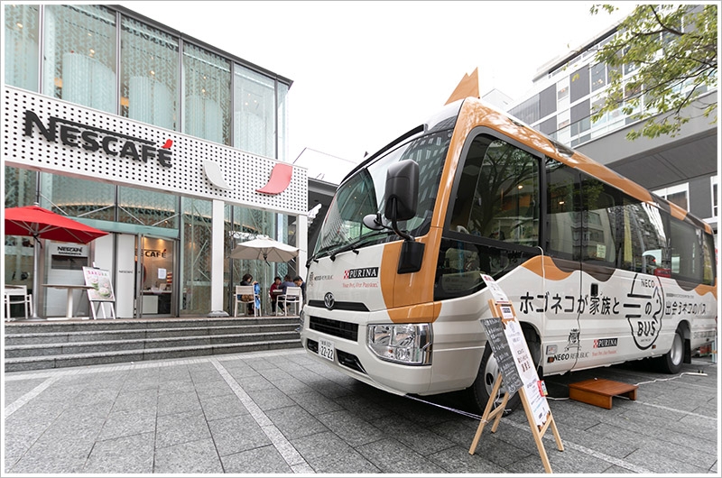 IKEA神戸『ネコのバス 猫カフェみたいな譲渡会』初開催 [画像]