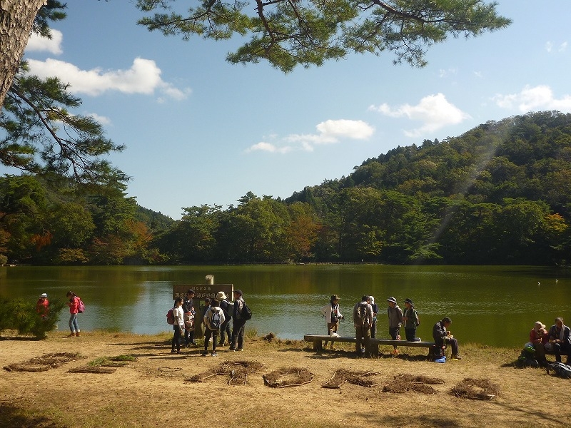 再度公園『こうべ森の文化祭 2019』　神戸市北区 [画像]