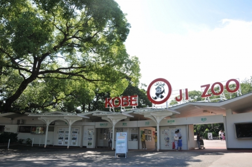 神戸市立王子動物園　10月3日は「KOBE観光の日」で入園無料　神戸市灘区