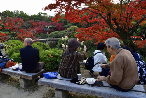 相楽園『日本庭園で紅葉を楽しむ会』　神戸市中央区