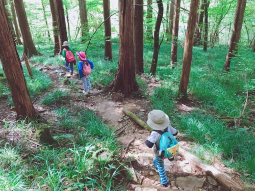 『中播磨ふれあいハイキング in ゆめさきの森公園』　姫路市