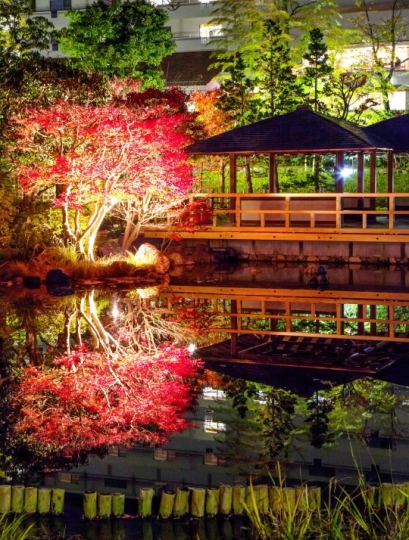 しあわせの村日本庭園『紅葉（もみじ）のライトアップ』神戸市北区 [画像]