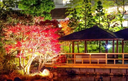 しあわせの村日本庭園『紅葉（もみじ）のライトアップ』神戸市北区