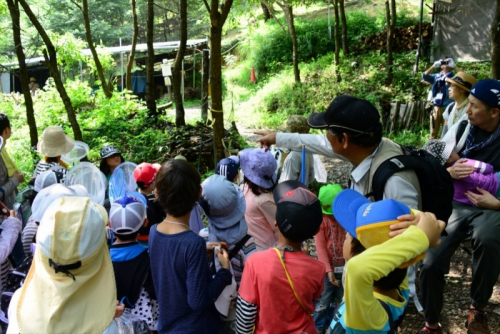 第6回こども北摂里山探検隊『宝塚自然の家で里山保全体験と秋の自然探検』　宝塚市