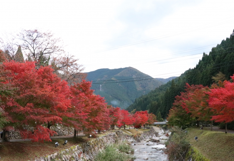 『原不動滝　元祖もみじ＆りんごまつり』　宍粟市 [画像]