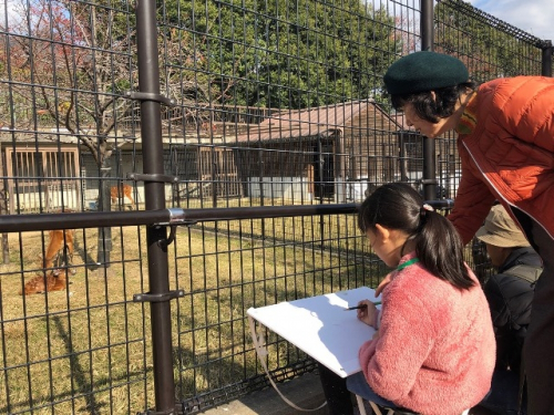 神戸市立王子動物園『絵本作家　永田萠さんと王子動物園で絵を描こう』参加者募集