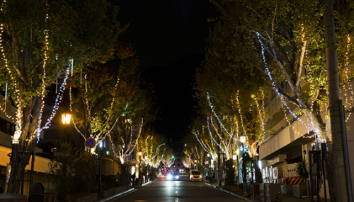 北野異人館街を幻想的にライトアップ『神戸北野クリスマスストリート』