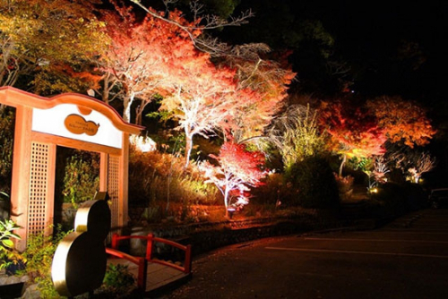 有馬温泉 太閤の湯『紅葉の棚田』ライトアップ　神戸市北区