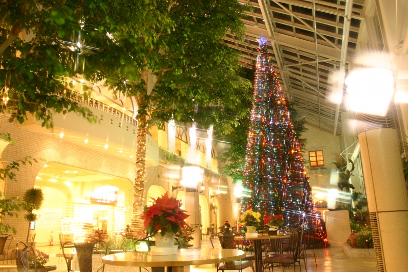 淡路ハイウェイオアシスに淡路島内最大級のクリスマスツリーが登場 [画像]