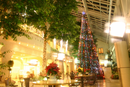 淡路ハイウェイオアシスに淡路島内最大級のクリスマスツリーが登場