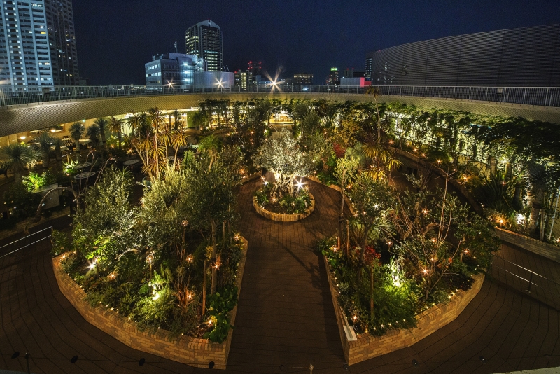 屋上庭園がクリスマス仕様に『SOL’s Christmas』神戸市中央区 [画像]