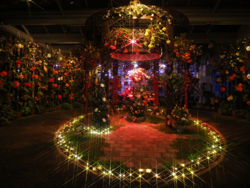 兵庫県立フラワーセンター 『花と光のクリスマス』　加西市