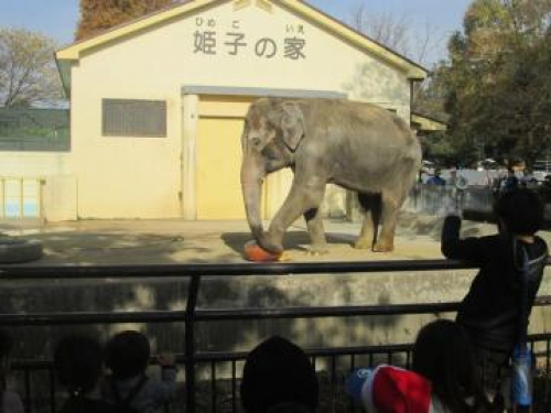 姫路市立動物園　冬至のプレゼント