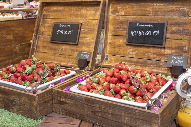 ANAクラウンプラザホテル神戸『Strawberry fields by Thomas～トーマスさんのいちご畑～』 [画像]