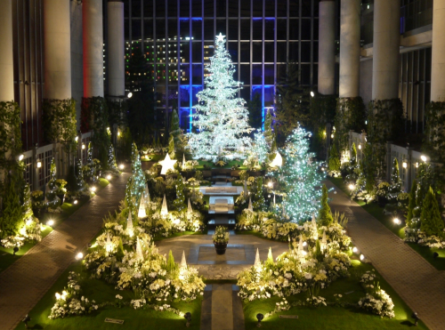 奇跡の星の植物館『クリスマスパーティー』　淡路市