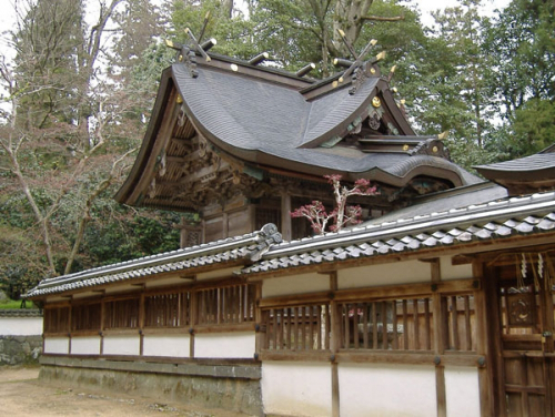 兵主神社『初えびす祭』　丹波市