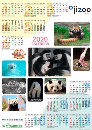 神戸市立王子動物園『オリジナルカレンダー』プレゼント [画像]