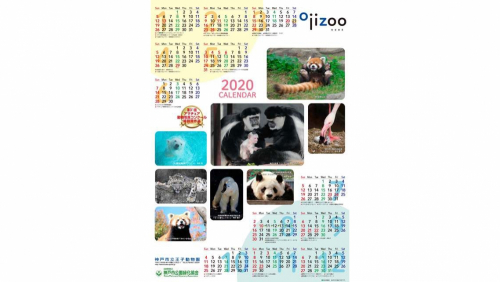 神戸市立王子動物園『オリジナルカレンダー』プレゼント