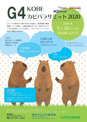 王子動物園『G4 KOBE カピバラサミット2020』　神戸市灘区 [画像]