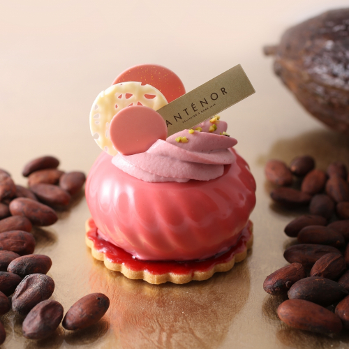 神戸生まれのアンテノール「ルビーチョコレート」を使ったケーキを10店舗限定発売