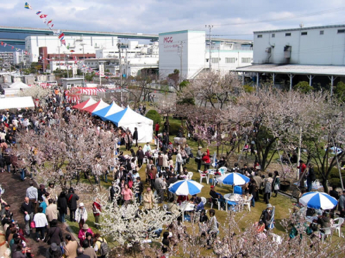 【開催中止】『第31回 アーモンドフェスティバル』　神戸市東灘区