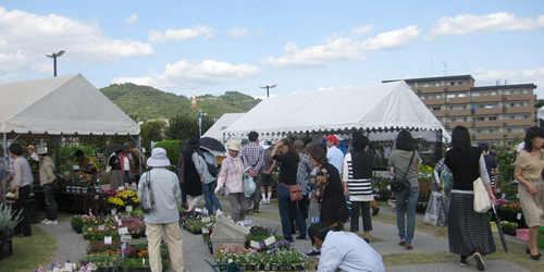 花と植木の即売や園芸相談など「宝塚植木まつり」　宝塚市