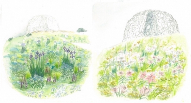 （左）アヤメの咲くブルーメドウ（右）スカシユリの咲くワイルドメドウ　※イメージ
