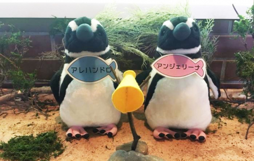 【3月3日（火）～15日（日）休園】須磨海浜水族園『マゼランペンギン型AI解説』LINEで遊べる機能が新登場