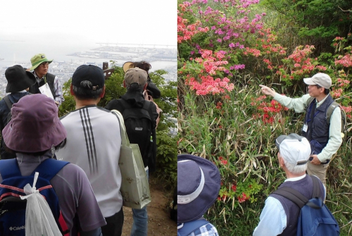 【開催中止】『春の六甲山ハイキング』参加者募集　神戸市灘区