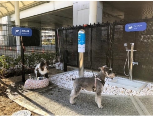 大阪国際空港（伊丹空港）に国内空港初となる 「愛犬専用トイレ」を設置 [画像]