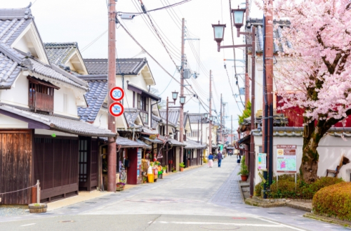 丹波焼の里と篠山城下町を結ぶ直通バス運行