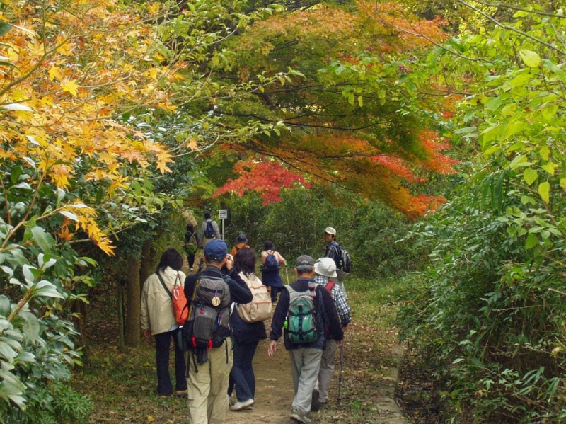「太陽と緑の道と有馬温泉散策ハイキング」　神戸市北区 [画像]