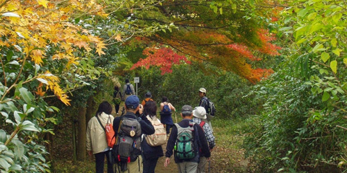 「太陽と緑の道と有馬温泉散策ハイキング」　神戸市北区