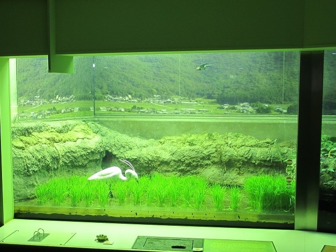姫路市立水族館が約3か月ぶりに営業再開 [画像]