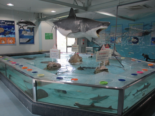 姫路市立水族館が約3か月ぶりに営業再開