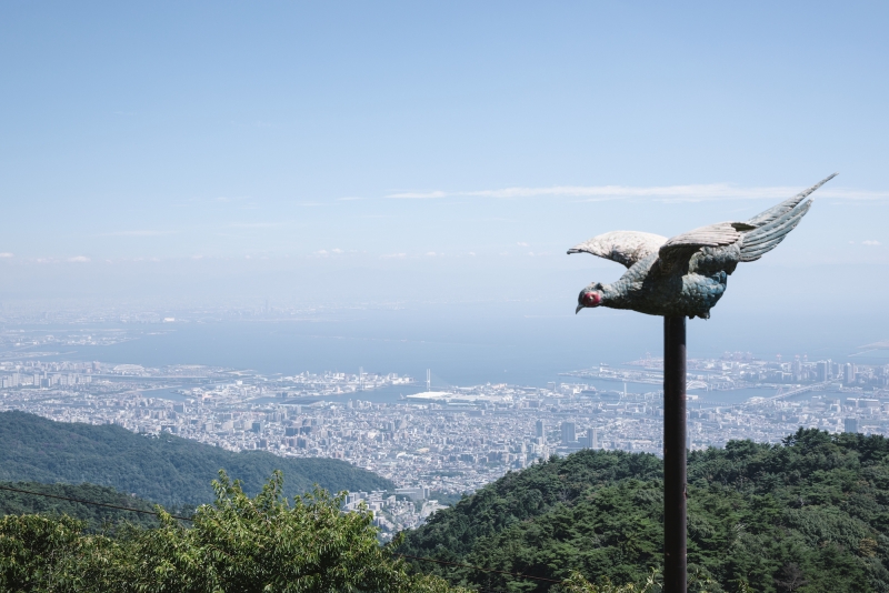 六甲山からの景色　©️一般財団法人神戸観光局