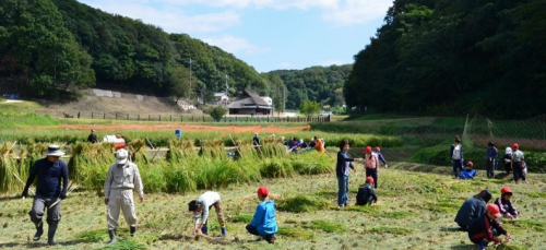 あいな里山公園で里山体験プログラム再開　神戸市北区