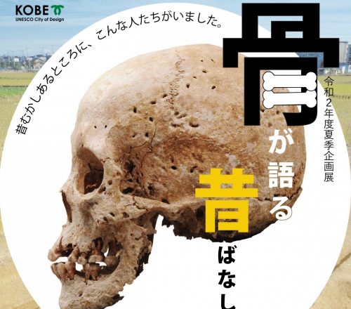 神戸市埋蔵文化財センター夏季企画展『骨が語る昔ばなし』神戸市西区