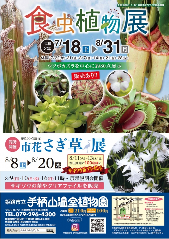 手柄山温室植物園『食虫植物展』　姫路市 [画像]