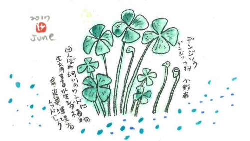  手柄山温室植物園「播磨の絶滅危惧種展」と「岩田健三郎植物画展」開催　姫路市