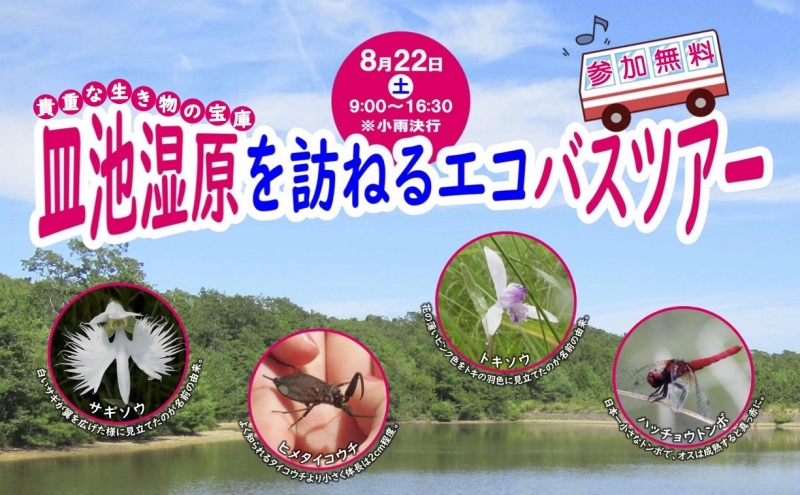 【募集終了】『皿池湿原を訪ねるエコバスツアー』神戸市灘区・三田市 [画像]
